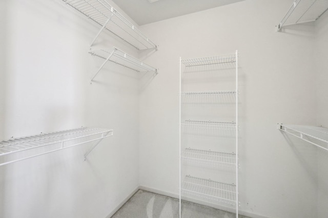 1335 Kelly Green Dr, Ann Arbor, MI 48103 - photo 12