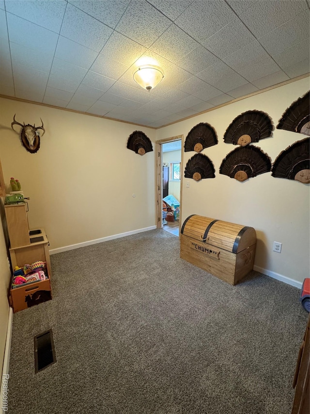 338 Green, Perry, MI 48872 - sitting room with carpet flooring