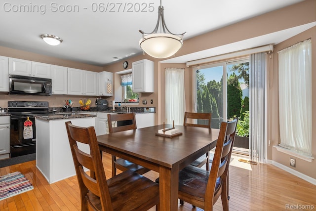 13912 Deanna Dr, Belleville, MI 48111 - photo 8