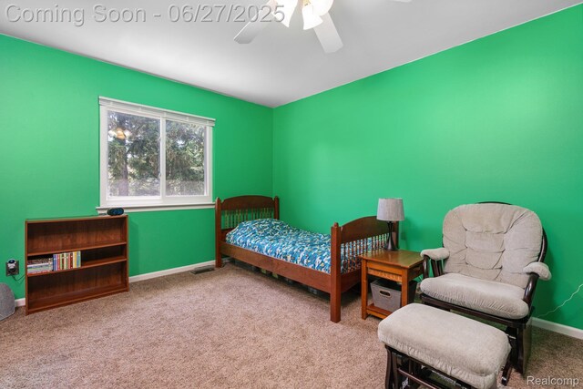 13912 Deanna Dr, Belleville, MI 48111 - photo 24