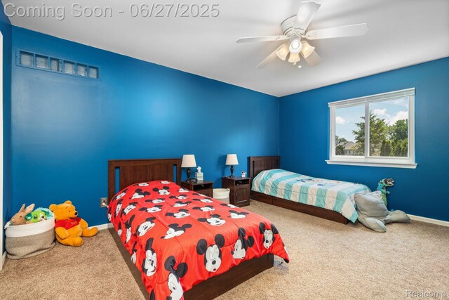 13912 Deanna Dr, Belleville, MI 48111 - photo 27