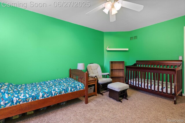 13912 Deanna Dr, Belleville, MI 48111 - photo 25