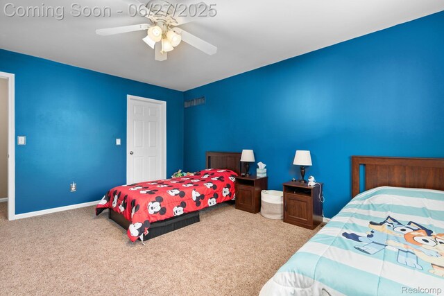 13912 Deanna Dr, Belleville, MI 48111 - photo 28