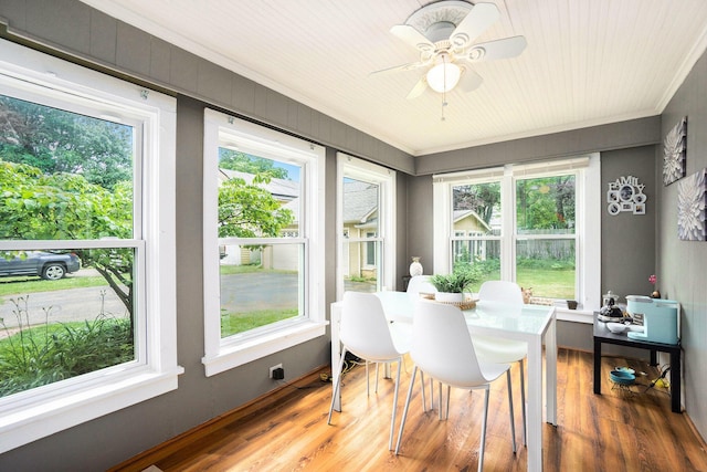 317 E Chart St, Plainwell, MI 49080 - dining area featuring crown molding, plenty of natural light, ceiling fan, and light wood-style flooring