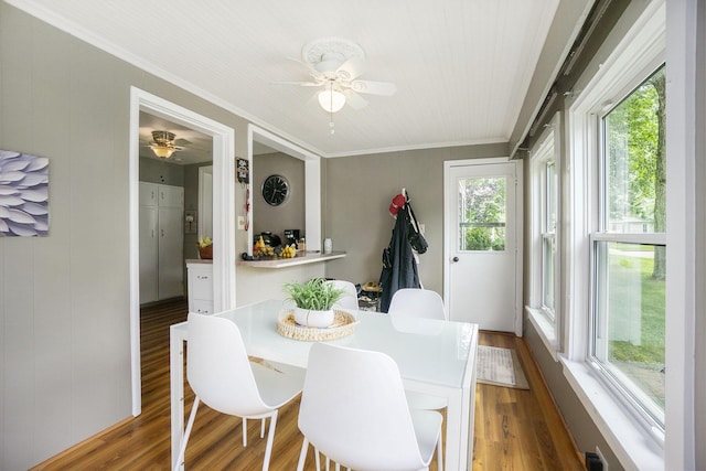 317 E Chart St, Plainwell, MI 49080 - dining space with a ceiling fan, ornamental molding, and wood finished floors