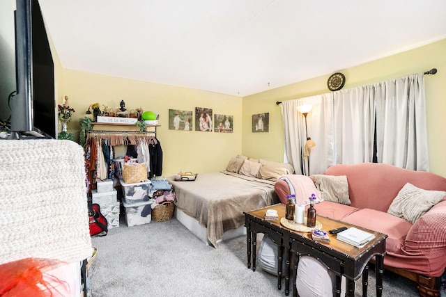 317 E Chart St, Plainwell, MI 49080 - bedroom with carpet