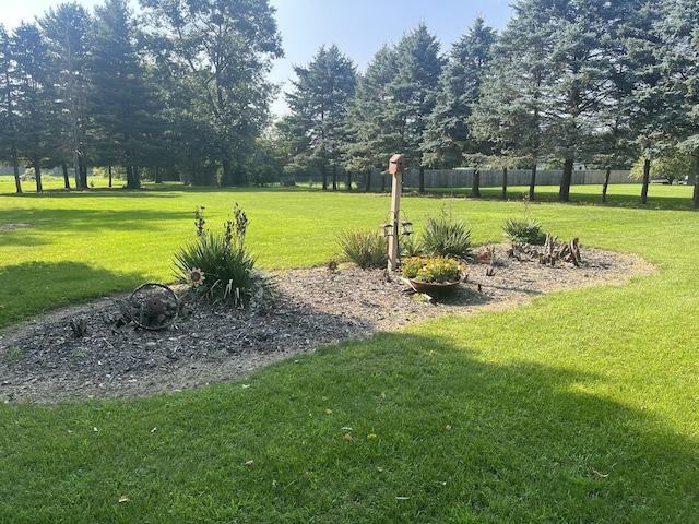 414 S Chicago St, Litchfield, MI 49252 - photo 33