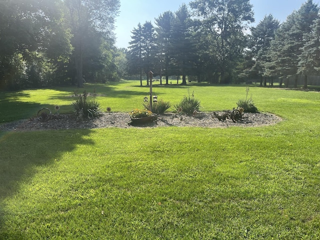 414 S Chicago St, Litchfield, MI 49252 - photo 34