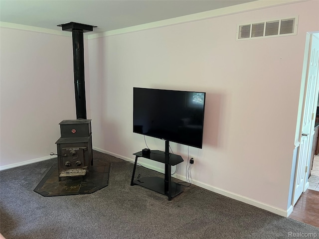6197 Sober Rd, Fowlerville, MI 48836 - detailed view of a wood stove and carpet floors