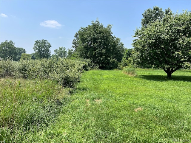 6197 Sober Rd, Fowlerville, MI 48836 - view of nature