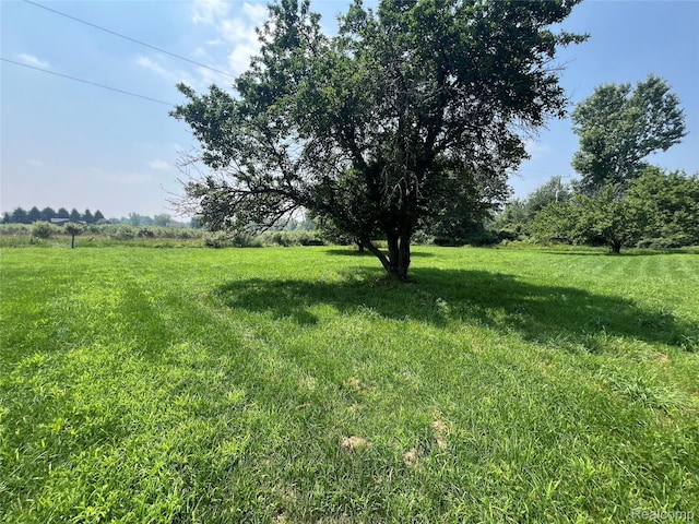 6197 Sober Rd, Fowlerville, MI 48836 - view of green lawn with a view of countryside