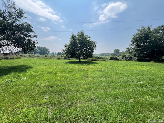 6197 Sober Rd, Fowlerville, MI 48836 - view of yard featuring a rural view