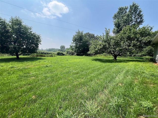 6197 Sober Rd, Fowlerville, MI 48836 - view of grassy yard