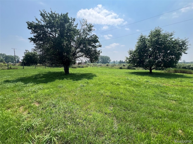 6197 Sober Rd, Fowlerville, MI 48836 - view of yard featuring a view of rural / pastoral area