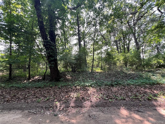 6197 Sober Rd, Fowlerville, MI 48836 - view of undeveloped land