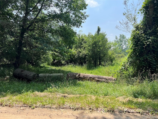 6197 Sober Rd, Fowlerville, MI 48836 - view of nature