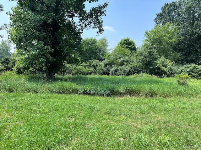 6197 Sober Rd, Fowlerville, MI 48836 - view of local wilderness