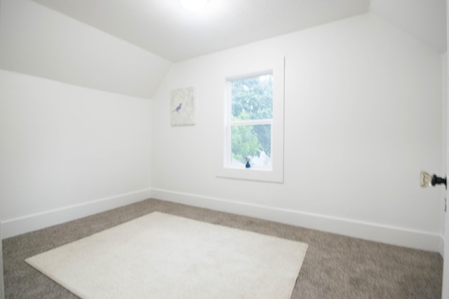 1100 W Laketon Ave, Muskegon, MI 49441 - bonus room with carpet flooring and lofted ceiling