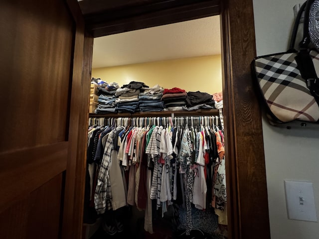 313 N Matteson St, Bronson, MI 49028 - view of closet