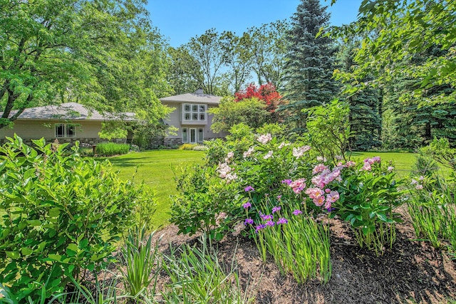 8023 Trail Rdg, Dexter, MI 48130 - view of grassy yard