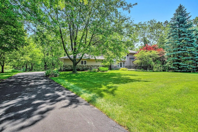 8023 Trail Rdg, Dexter, MI 48130 - view of property hidden behind natural elements with a front yard and asphalt driveway