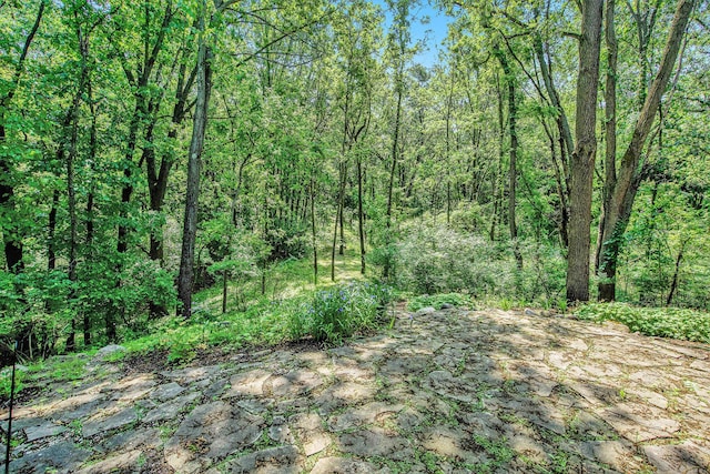 8023 Trail Rdg, Dexter, MI 48130 - view of wooded area