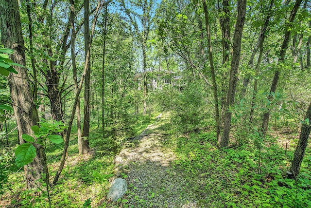 8023 Trail Rdg, Dexter, MI 48130 - view of tree filled area