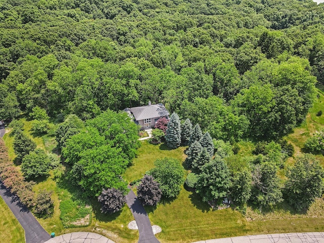 8023 Trail Rdg, Dexter, MI 48130 - view of subject property with a heavily wooded area