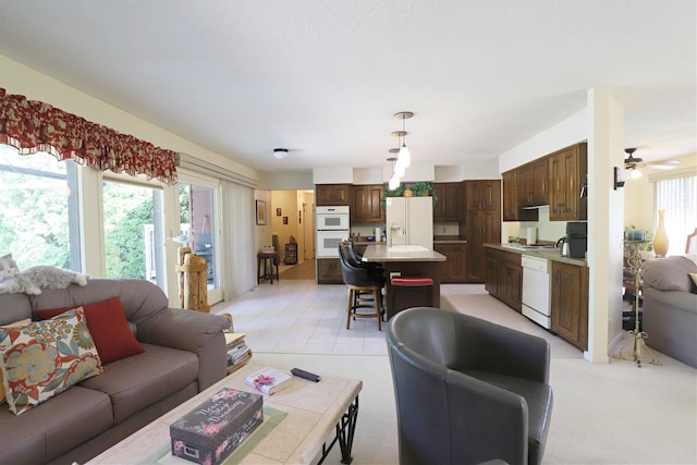 8141 N Elms Rd, Flushing, MI 48433 - living area featuring ceiling fan