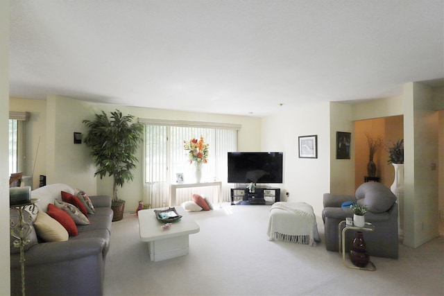8141 N Elms Rd, Flushing, MI 48433 - living room featuring carpet floors
