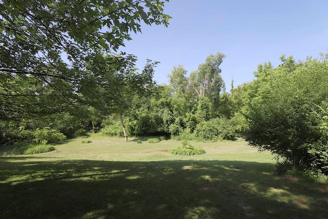 8141 N Elms Rd, Flushing, MI 48433 - view of green lawn
