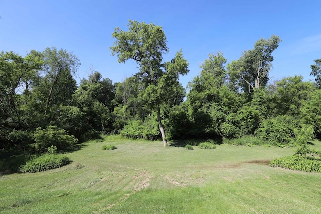 8141 N Elms Rd, Flushing, MI 48433 - view of grassy yard