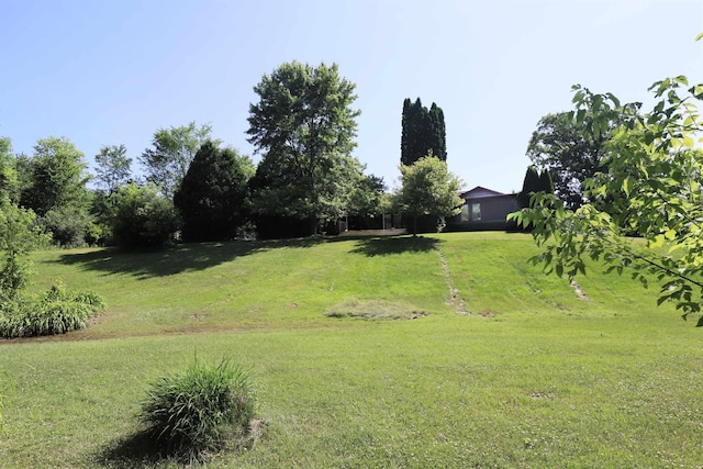8141 N Elms Rd, Flushing, MI 48433 - view of green lawn