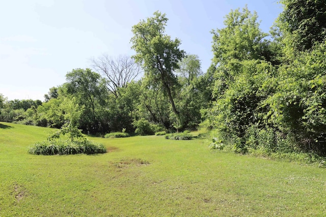 8141 N Elms Rd, Flushing, MI 48433 - view of grassy yard