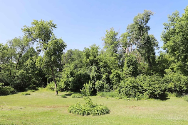 8141 N Elms Rd, Flushing, MI 48433 - view of green lawn