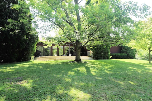 8141 N Elms Rd, Flushing, MI 48433 - view of grassy yard