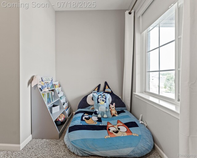4074 Peach Tree Ln, Howell, MI 48843 - bedroom featuring multiple windows and carpet