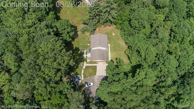 9401 Mcclumpha Rd, Livonia, MI 48170 - photo 4
