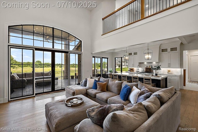 6295 Canter Creek Trl, Grand Blanc, MI 48439 - living room with a towering ceiling, light wood-style floors, and a chandelier