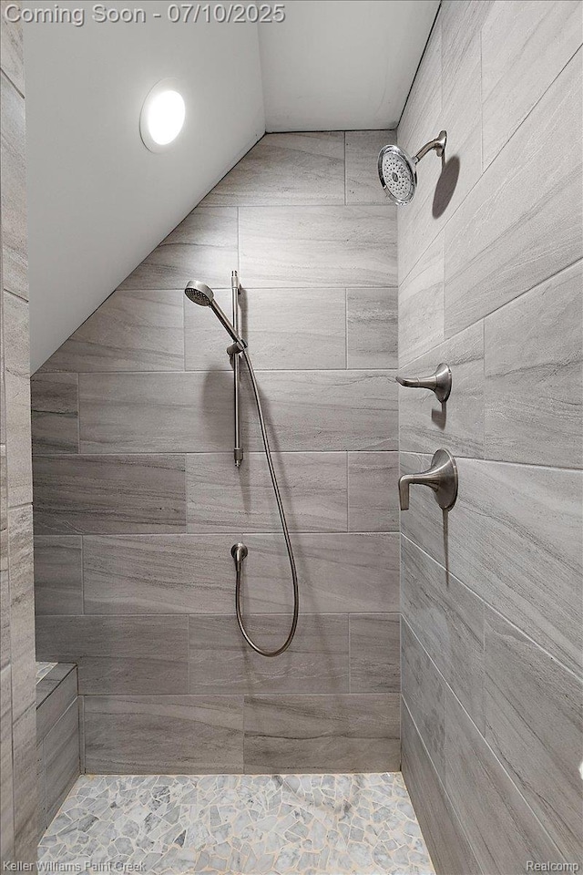 6295 Canter Creek Trl, Grand Blanc, MI 48439 - full bath featuring tiled shower and lofted ceiling