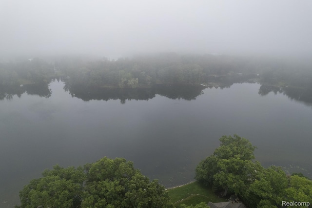 2624 Lynch, Highland, MI 48357 - bird's eye view of a nearby body of water