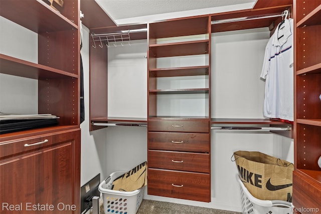 28836 Cullen Dr Unit 10, Romulus, MI 48174 - walk in closet with carpet flooring