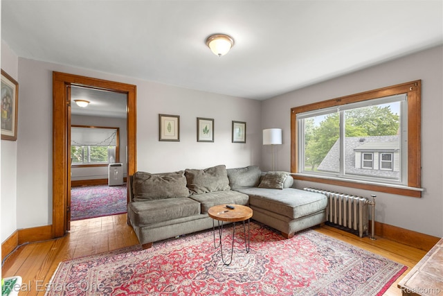 1157 Superior Blvd, Wyandotte, MI 48192 - photo 27