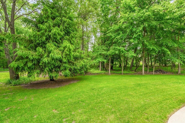 7520 Haflinger Cir, Kalamazoo, MI 49009 - view of green lawn