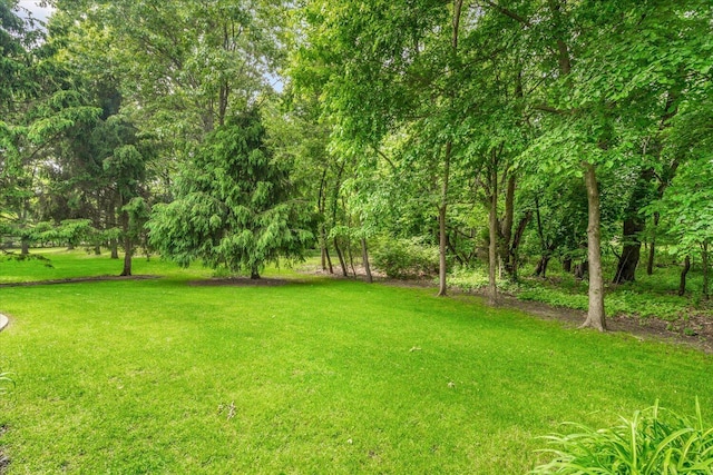 7520 Haflinger Cir, Kalamazoo, MI 49009 - view of green lawn