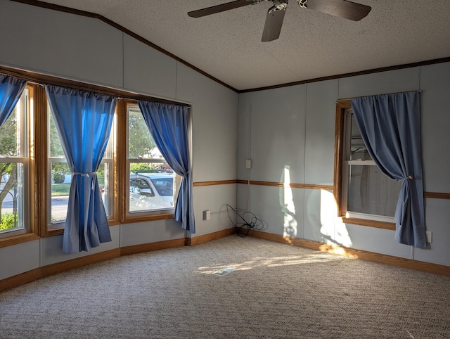 1310 Windridge Ln, Fremont, MI 49412 - spare room featuring crown molding, vaulted ceiling, a textured ceiling, ceiling fan, and healthy amount of natural light