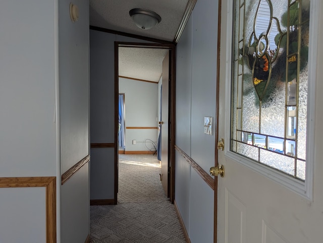 1310 Windridge Ln, Fremont, MI 49412 - corridor with a textured ceiling, carpet floors, and ornamental molding