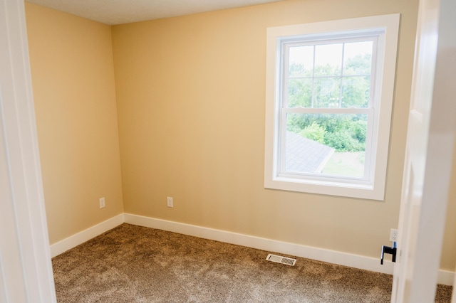 2634 Fitzgerald Ave, Fremont, MI 49412 - empty room with dark carpet and plenty of natural light
