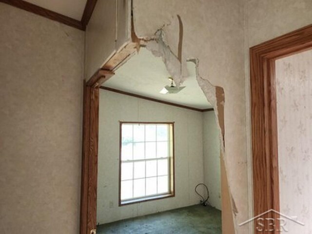 2502 Lynnwood Ave, Saginaw, MI 48601 - empty room with crown molding and carpet floors
