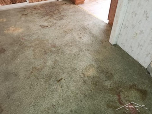 2502 Lynnwood Ave, Saginaw, MI 48601 - detailed view of carpet